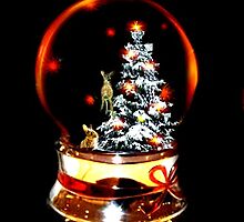 Snow Globe by Judi Taylor