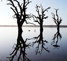 Silent Vigil. by Steve Chapple
