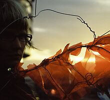 Sunset Wing by MichaelCouacaud
