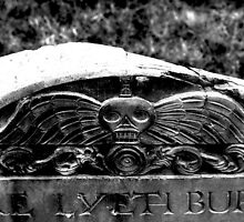 Here Lyeth Buried by Barbara Gerstner
