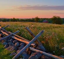 Field of Honor by Mike Griffiths