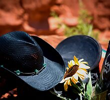 The Hat by doorfrontphotos