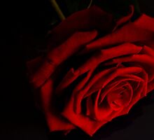 A token of love by karenkirkham