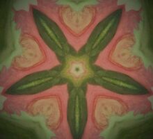 "Forest Dollar" by Alextre