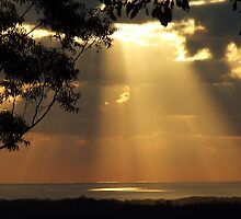 "Sun meets Ocean" by debsphotos