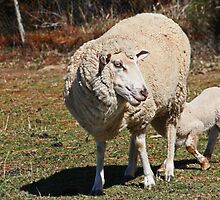Proud Mum! by Evita