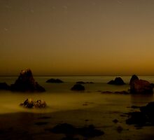 Sentinels on the watch by oastudios