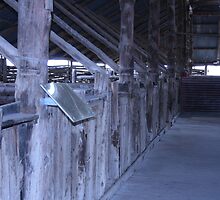Mungo Station 2 by rosemellen