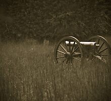 RETREAT...NEVER SURRENDER by Charles Dobbs Photography