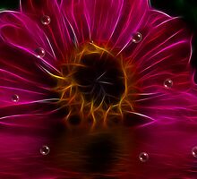 Sweet Kisses After Midnight by Angi Baker