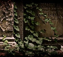 My sacred garden IV. by Csaba Jekkel