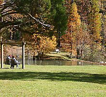 Autumn Relaxation by Patricia Montgomery