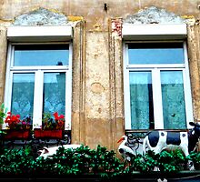 le balcon du costumier. Rue de Roubaix. Lille by William Lyszliewicz
