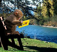 A quiet place to read by MooseMan