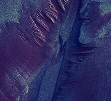 Indigo sands 2 by Albert Sulzer