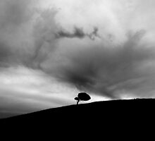 Lonely Tree by ein22