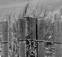 Lonely Summer by Kenny Gee