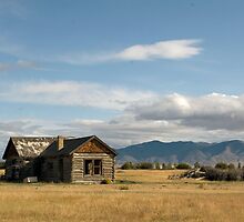 Homestead by Ann Rodriquez
