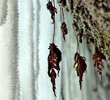 Inside the Ice Cave III by Kathleen Daley