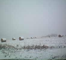 Just a Dusting! by Diane Trummer Sullivan
