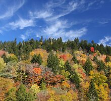 Different by Gary L Suddath