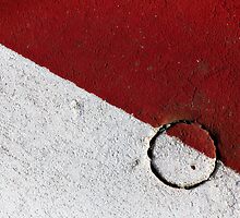 Conception by David Librach - DL Photography -
