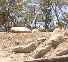 UNEARTHED. THESE ROCKS HAVE BEEN BLASTED OUT OF THE GROUND TO MAKE THE NEW CALDER FREEWAY,HARCOURT, CENTRAL VICTORIA. by leanimal