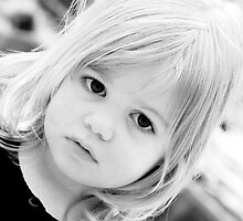 WHy by Kelly Connolly