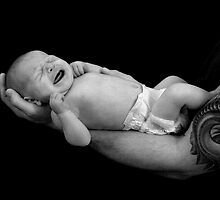 Daddy's Arms by Ann Rodriquez