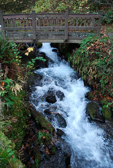 bridge over water