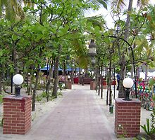 Bitter End Yacht Club, British Virgin Islands by mcbuca02