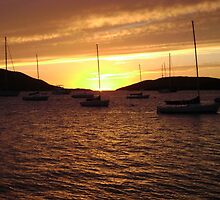 Sunset at The Bitter End Yacht Club, British Virgin Islands #2 by mcbuca02