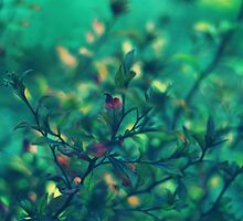 But I crumble completely when you cry by Amber Gregory