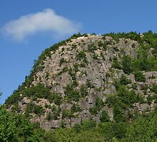 Climb Every Mountain by Monnie Ryan