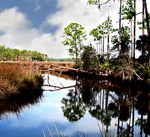RIVER SEEN by TomBaumker