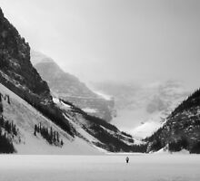 When Beauty Beckons by Paul Tupman