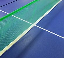 Ping Pong by Barbara Morrison