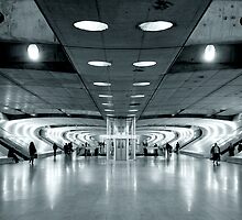 ALIENation... by Carlos Neto