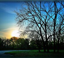 Sometimes You Just Know It's Gonna Be A Nice Day! by Stuart Baxter