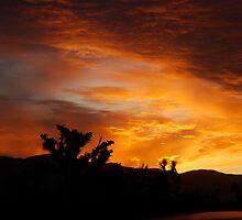 Evening Drive by Cheryl Lunde