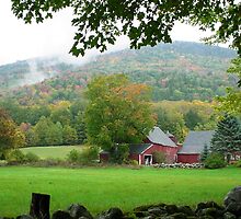 Barn in Mt. Holly, VT by jansnow
