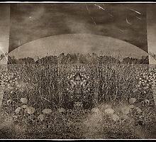 Frost On The Pumpkins by Charles Oliver