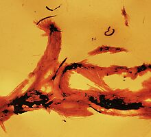 Images of Entropy by Nikki Trexel