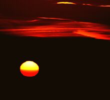Isn't God Amazing? by Laurie Puglia