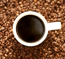 Java by Samantha Frey