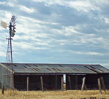 Southern Cross and Shearing Shed by Jennifer Craker
