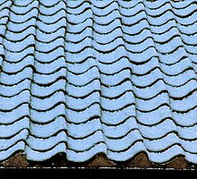 "Dusting on the Roof" by Bradley Shawn Rabon