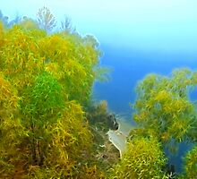 Autumn landscape, trees in a fog by Sergieiev