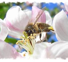 Bee Heaven by JuliaWright