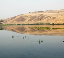 Reflect by NicholeHyde